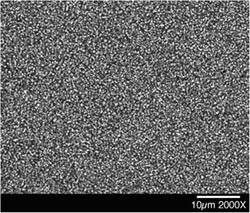 amorphous material in a freeze dryer