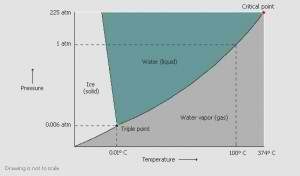 Graph showing how a freeze dryer works and what is the ideal freeze drying pressure and freeze drying temperature