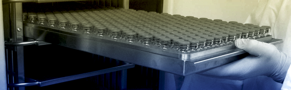 Vials in a tray for loading in a freeze dryer