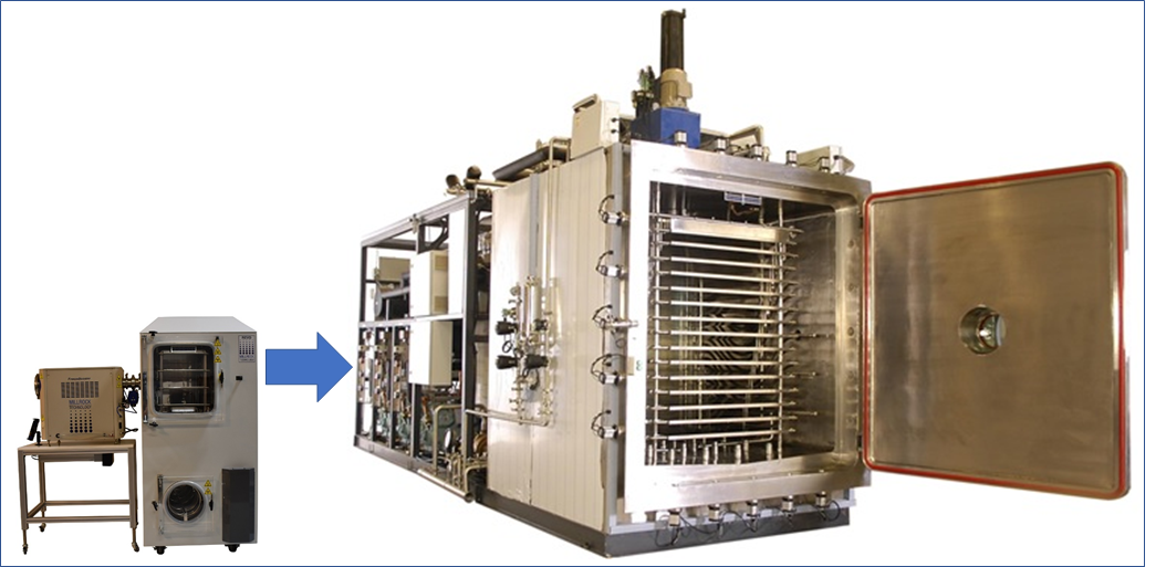 Transfer freeze drying cycles from LyoPro to production dryers
