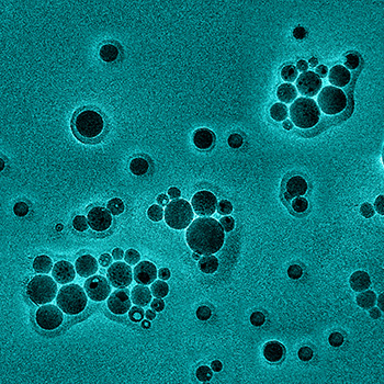 Nano Particles