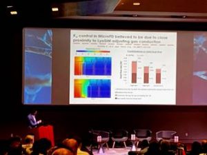 islfd conference