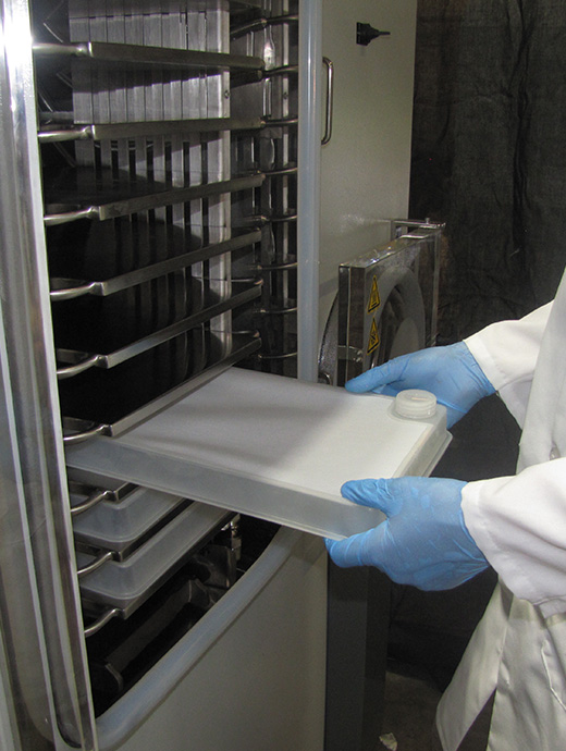 Loading bulk Lyoguard® Trays Trays