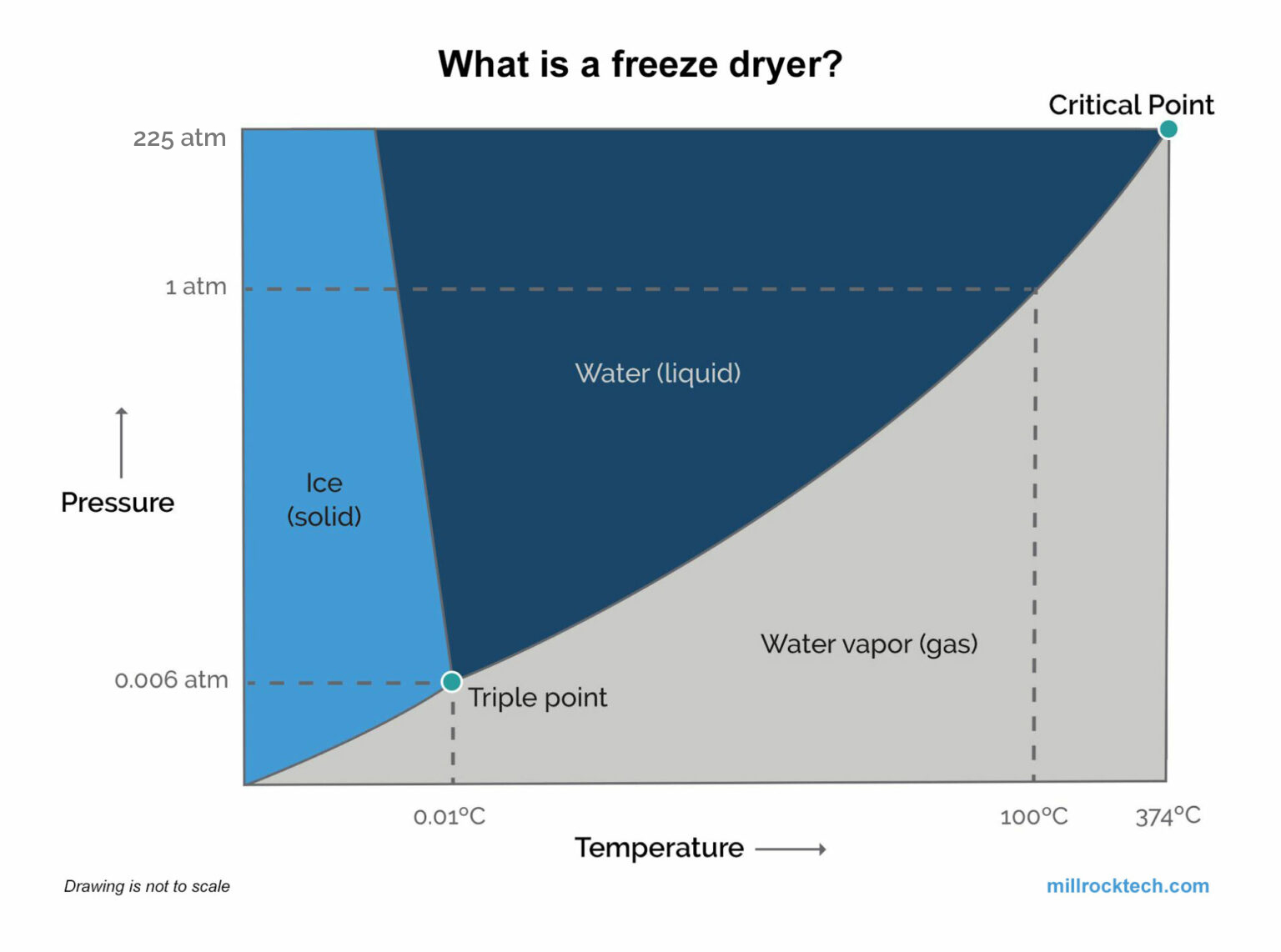 Graph showing how a freeze dryer works and what is the ideal freeze drying pressure and freeze drying temperature